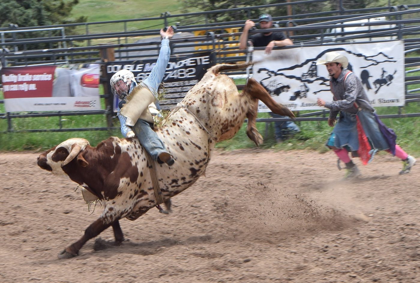 A bull rider getting bucked as rodeo bullfighters move in during the Teller County Fair rodeo